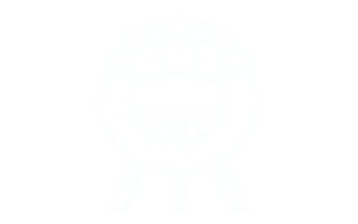 Organizzazione funerale